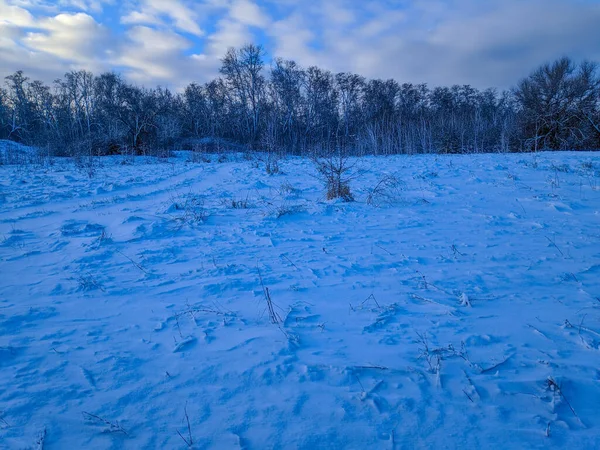 Bela Paisagem Inverno Campo Neve Floresta Paisagem Ensolarada Com Neve — Fotografia de Stock