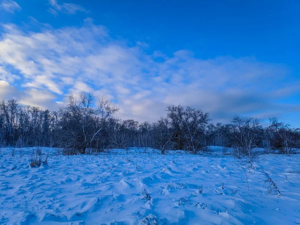 Bela Paisagem Inverno Campo Neve Floresta Paisagem Ensolarada Com Neve — Fotografia de Stock