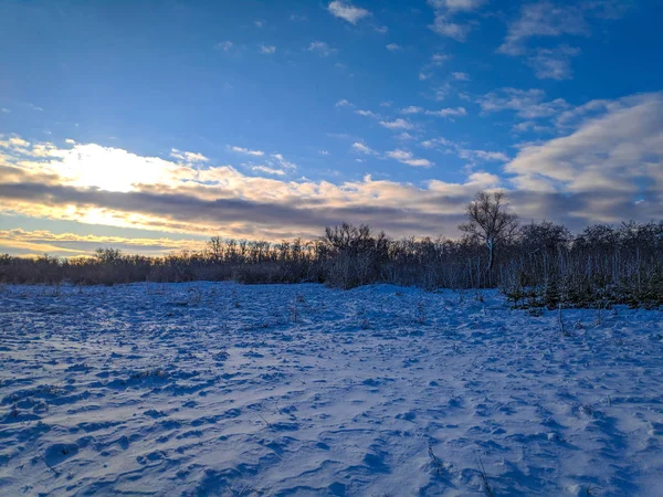 Bela Paisagem Inverno Campo Neve Floresta Paisagem Ensolarada Com Neve — Fotografia de Stock