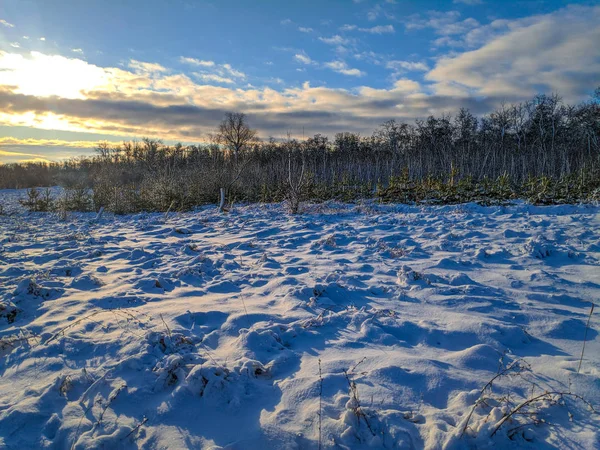 Hermoso Paisaje Invierno Campo Nieve Bosque Paisaje Soleado Con Nieve — Foto de Stock