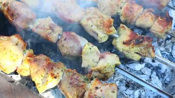 バーベキューだ 火の上の肉 グリルで肉を調理する — ストック動画