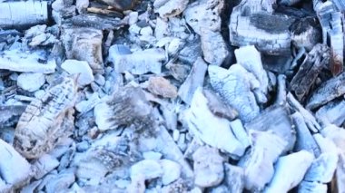 Yanan kömür. gri küller. yanan ağaç