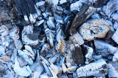 Yanan kömür. gri küller. yanan ağaç