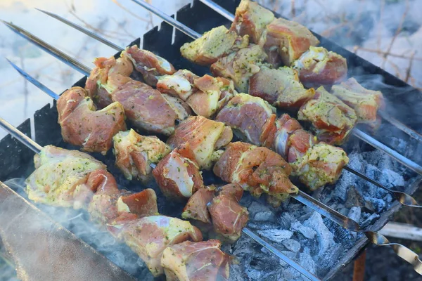 Barbekü Yanan Izgarada Pişirmek — Stok fotoğraf