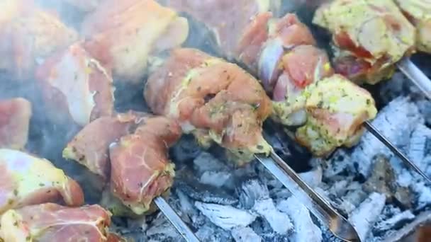 Barbecue Viande Feu Cuisson Viande Sur Gril — Video