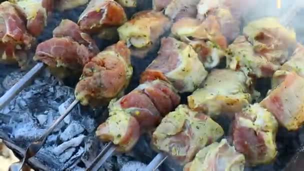 バーベキューだ 火の上の肉 グリルで肉を調理する — ストック動画
