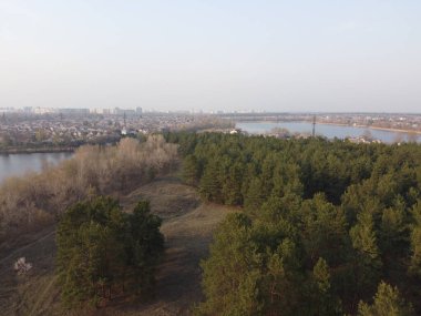 Orman ve su manzarası. Çam Ormanı Üst Görünümü