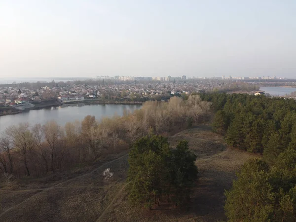 Краєвид Лісом Водою Сосновий Ліс Вид Зверху — стокове фото