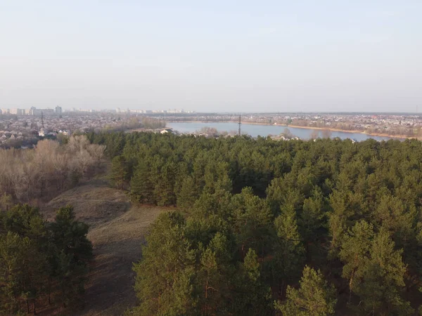 Landschap Met Bos Water Dennenbos Bovenaanzicht — Stockfoto