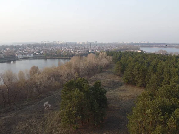 Краєвид Лісом Водою Сосновий Ліс Вид Зверху — стокове фото