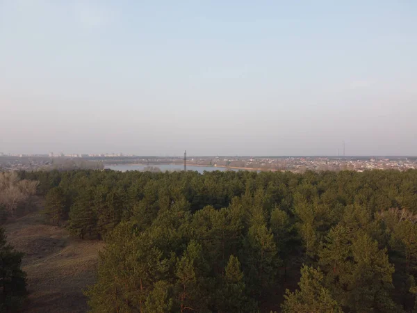 Landschap Met Bos Water Dennenbos Bovenaanzicht — Stockfoto