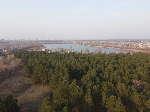 Landschap Met Bos Water Dennenbos Bovenaanzicht — Stockfoto