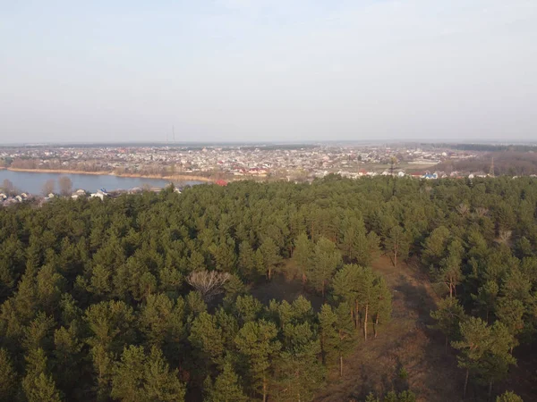 Landschap Met Bos Water Dennenbos Bovenaanzicht — Stockfoto