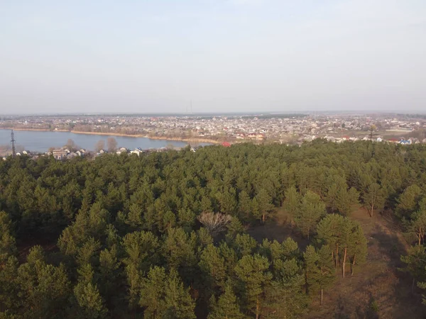 Landschap Met Bos Water Dennenbos Bovenaanzicht — Stockfoto