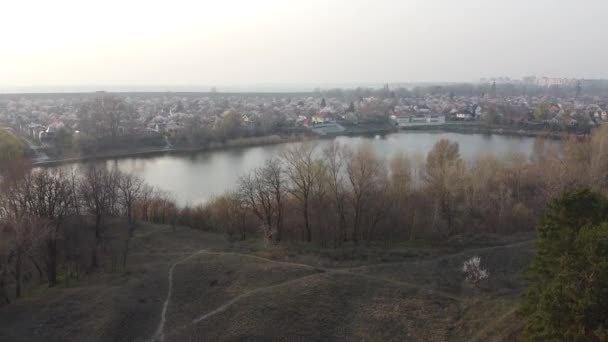 paysage avec forêt et eau. forêt de pins vue de dessus 