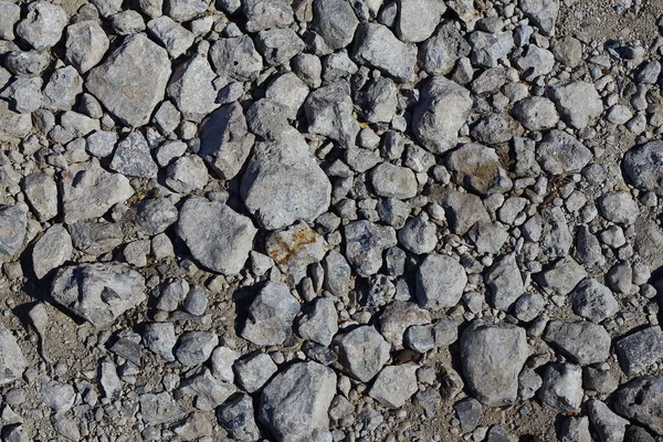 gray stones in the dust. stones of various shapes