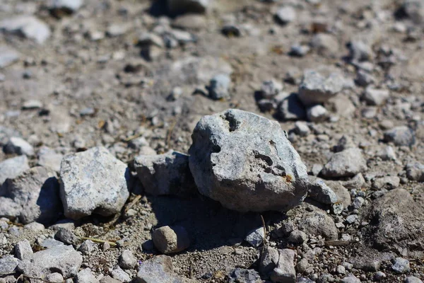 gray stones in the dust. stones of various shapes