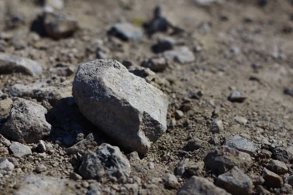 Topraktaki Gri Taşlar Çeşitli Şekillerde Taşlar — Stok fotoğraf