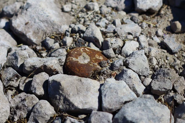 Topraktaki Gri Taşlar Çeşitli Şekillerde Taşlar — Stok fotoğraf