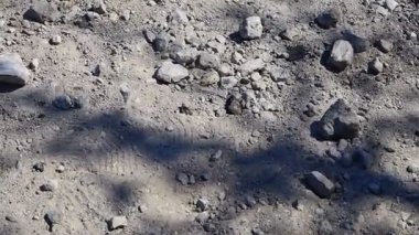 Topraktaki gri taşlar. Çeşitli şekillerde taşlar.