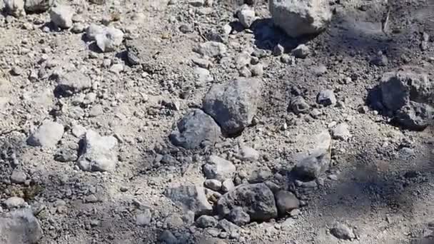 Piedras Grises Polvo Piedras Diversas Formas — Vídeo de stock