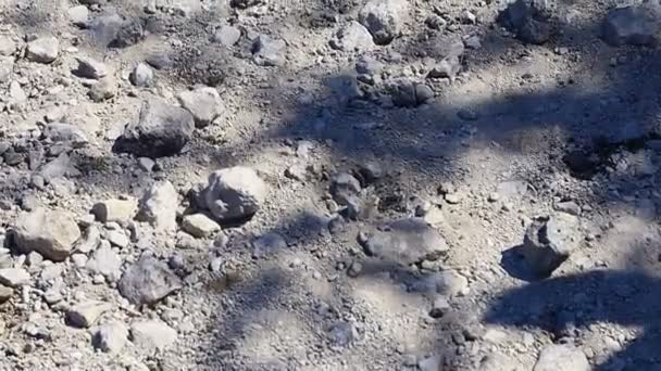 塵の中の灰色の石 様々な形の石が — ストック動画