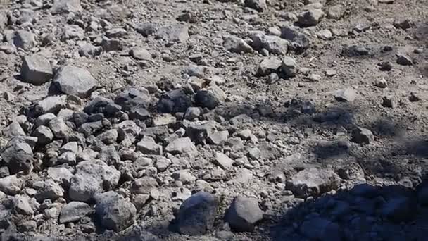 Gray Stones Dust Stones Various Shapes — Stock Video