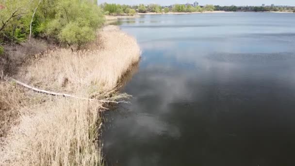 Hermoso Paisaje Con Río Orilla Río Desde Arriba — Vídeos de Stock
