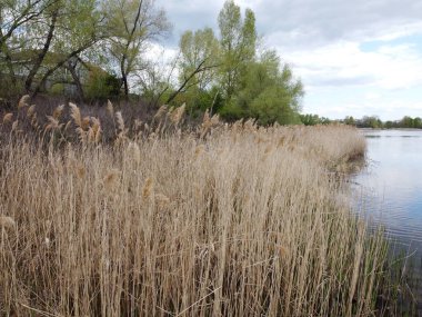bahar manzarası. toprak ve su yukarıdan