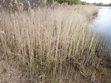 bahar manzarası. toprak ve su yukarıdan