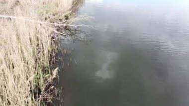 bahar manzarası. toprak ve su yukarıdan