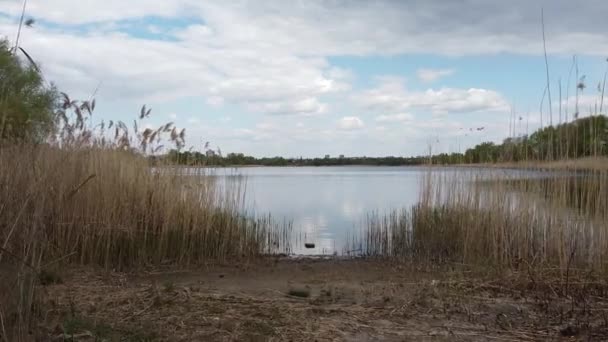 Spring Landscape Land Water — Stock Video