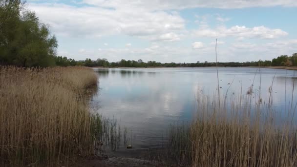 Vårlandskap Land Vann Ovenfra – stockvideo