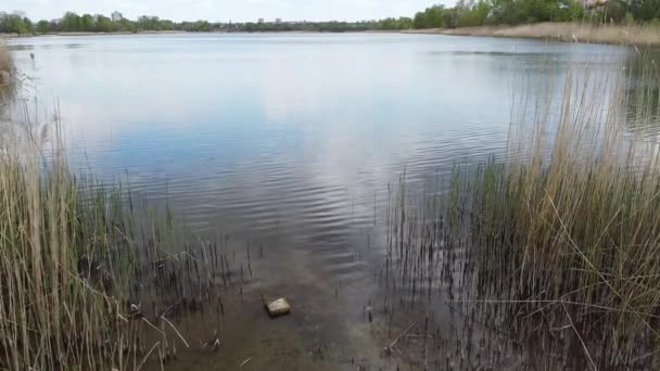 Vårlandskap Land Vann Ovenfra – stockvideo