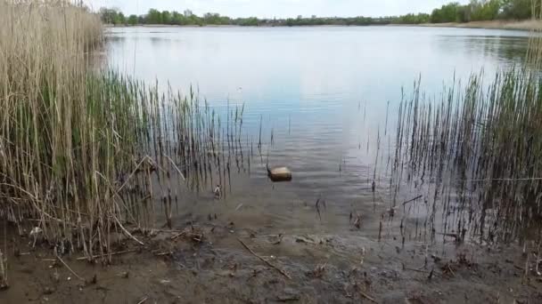 Voorjaarslandschap Land Water Van Boven — Stockvideo