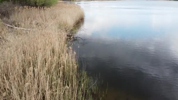 paysage printanier. terre et eau d'en haut 