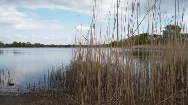 Vårlandskap Mark Och Vatten Uppifrån — Stockvideo