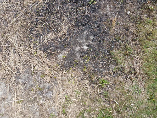 burnt grass. black burnt ground