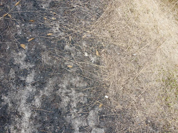 burnt grass. black burnt ground