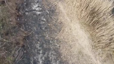 Yanmış ot. siyah yanmış toprak