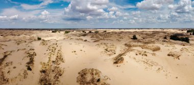 Yukarıdan gelen çöl. Çöl kumları ve ağaçlar