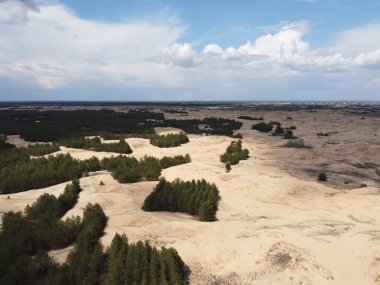 Yukarıdan gelen çöl. Çöl kumları ve ağaçlar
