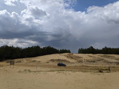 Yukarıdan gelen çöl. Çöl kumları ve ağaçlar