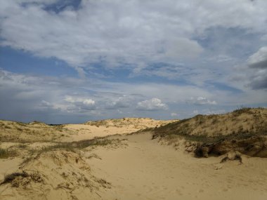Yukarıdan gelen çöl. Çöl kumları ve ağaçlar