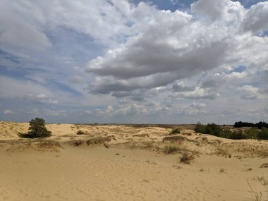 Yukarıdan gelen çöl. Çöl kumları ve ağaçlar