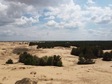 Yukarıdan gelen çöl. Çöl kumları ve ağaçlar