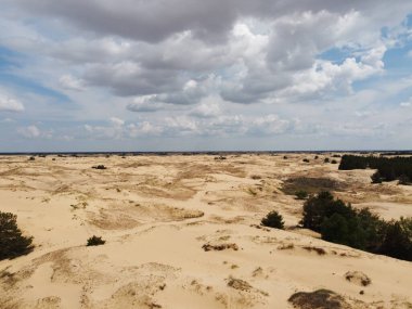 Yukarıdan gelen çöl. Çöl kumları ve ağaçlar