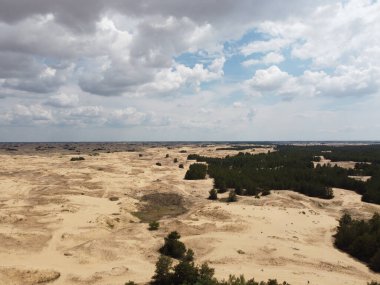 Yukarıdan gelen çöl. Çöl kumları ve ağaçlar