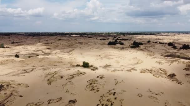 Deserto Dall Alto Sabbie Desertiche Alberi — Video Stock