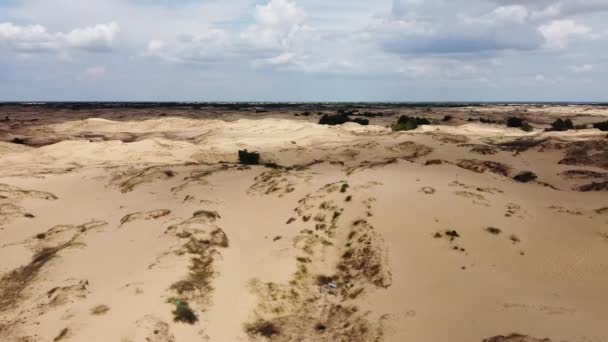 Deserto Dall Alto Sabbie Desertiche Alberi — Video Stock